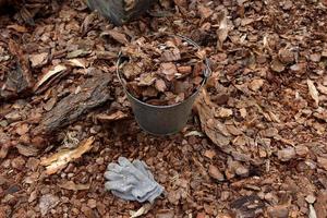 close-up of woodworking waste in the construction industry, photo