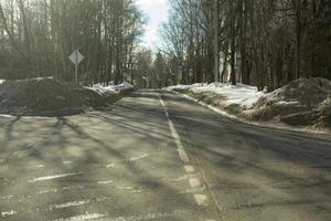 camino en invierno. carretera a la luz del sol. calle en el parque. un lugar a donde ir. foto