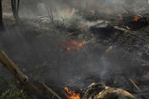 Burning of illegal landfill. Smoke and fire. Fire in street. photo