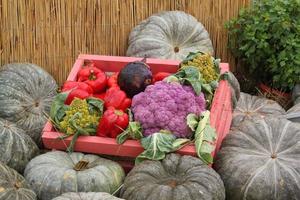 Organic pumpkin and vegetable in wooden box on agricultural fair. Harvesting autumn time concept. Garden fall natural plant. Thanksgiving halloween decor. Festive farm rural background. Vegan food. photo