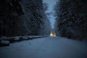 Road at night in forest. Light at end of road. Dark alley. Winter track at night. photo