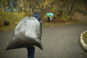 el hombre lleva una bolsa de basura. el tipo se lleva la bolsa de hojas. limpieza de jardines en otoño. foto