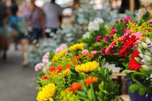 Rio de Janeiro, RJ, Brazil, 2022 - Street fair in Grajau neighborhood - apples, oranges, tangerines, bananas, lettuce, watercress, tomatoes,  bell peppers, flowers photo