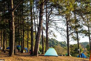 camping en doi ang khang chiang mai tailandia viendo la vista del amanecer foto