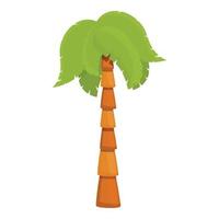 Exotic palm tree icon, cartoon style vector