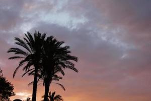 sunset or sunrise, contrasts and lights in the horizon, contrasts photo