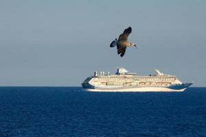 gaviotas volando en el cielo mediterráneo, pájaros salvajes en la costa catalana, españa foto