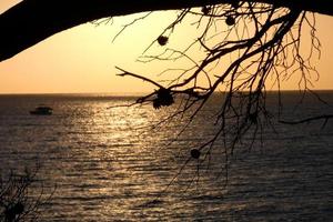 Costa brava, S'agaro belonging to Sant Feliu de Guixols, Catalonia, Spain photo