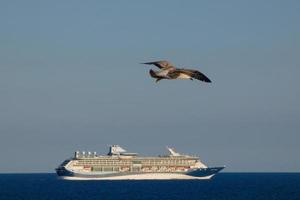 Wild seagulls in nature along the cliffs of the Catalan Costa Brava, Mediterranean, Spain. photo