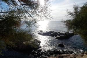 Mediterranean coastline with rocks in the catalan region, Spain photo