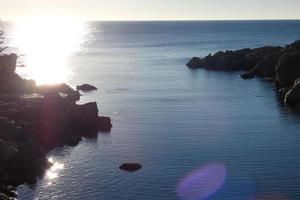 Dog playing and bathing in the sea in the early morning hours. photo