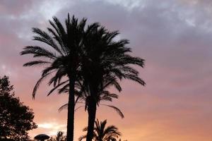 sunset or sunrise, contrasts and lights in the horizon, contrasts photo