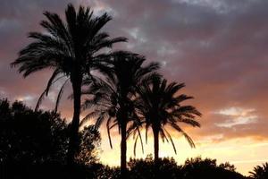 sunset or sunrise, contrasts and lights in the horizon, contrasts photo