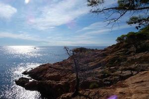 pinos, rocas y acantilados en la costa brava catalana en el mar mediterráneo foto