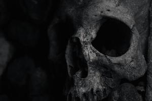A spooky skull photo