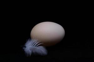 An egg and a fluffy feather isolated on a black background photo