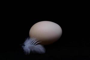 un huevo y una pluma esponjosa aislado en un fondo negro foto