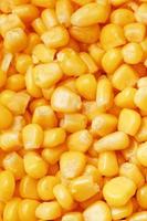 Golden canned corn, as distributed on a plane background and texture of popcorn. Before watching a movie top view. Close-up photo