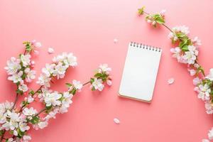 Blooming spring sakura on a pink background with notepad space for greeting message. The concept of spring and mother's day. Beautiful delicate pink cherry flowers in springtime photo