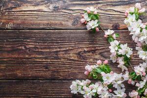 sakura floreciendo sobre un fondo oscuro de madera rústica. fondo de primavera con ramas de albaricoque florecientes y ramas de cerezo foto