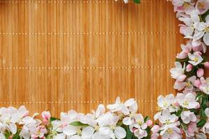 Frame of spring flowers of sakura on bamboo background. Beautiful cherry blossom sakura in springtime photo