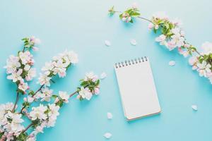 Blooming spring sakura on a blue background with notepad space for a message. Low contrast photo