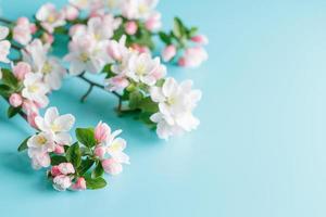sakura de primavera floreciente sobre un fondo azul con espacio para un mensaje de saludo. el concepto de primavera y día de la madre. hermosas y delicadas flores de cerezo rosa en primavera