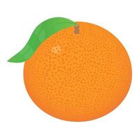 Whole grapefruit icon, isometric style vector