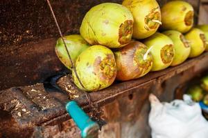 Lots of fresh green coconuts lined with a stack. Close-up market stalls photo