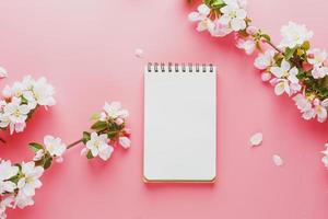 Blooming spring sakura on a pink background with notepad space for greeting message. The concept of spring and mother's day. Beautiful delicate pink cherry flowers in springtime photo