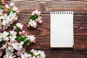 Sakura blossoms on a dark rustic wooden background with a notebook. Spring background with blossoming apricot branches and cherry branches photo