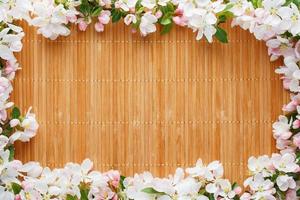 Frame of spring flowers of sakura on bamboo background. Beautiful cherry blossom sakura in springtime photo