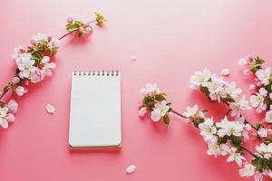 Blooming spring sakura on a pink background with notepad space for greeting message. The concept of spring and mother's day. Beautiful delicate pink cherry flowers in springtime photo