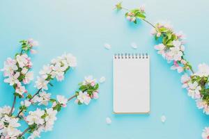 Blooming spring sakura on a blue background with notepad space for a message. Low contrast photo