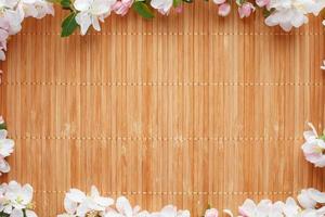 Frame of spring flowers of sakura on bamboo background. Beautiful cherry blossom sakura in springtime photo