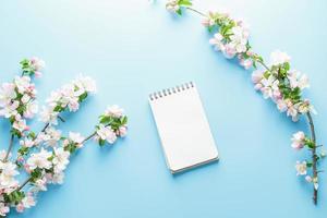 Blooming spring sakura on a blue background with notepad space for a greeting message. The concept of spring and mother's day. Beautiful delicate pink cherry flowers in springtime photo