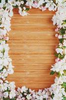 Frame of spring flowers of sakura on bamboo background. Beautiful cherry blossom sakura in springtime. Low contrast photo