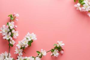 Sakura blooming, spring flowers on a pink background with space for a greeting message. The concept of spring and mother's day. Beautiful delicate pink cherry flowers in springtime photo