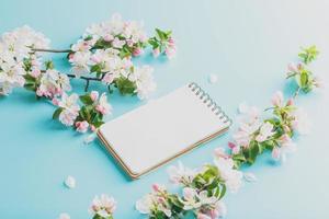 Blooming spring sakura on a blue background with notepad space for a message. Low contrast photo