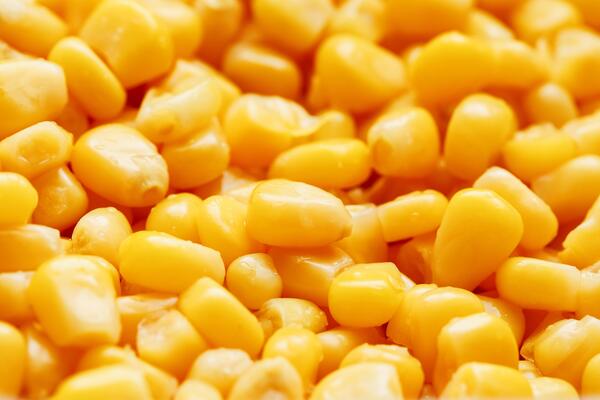 Corn Texture Stock Photos, Images and Backgrounds for Free Download
