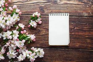 Sakura blossoms on a dark rustic wooden background with a notebook. Spring background with blossoming apricot branches and cherry branches photo