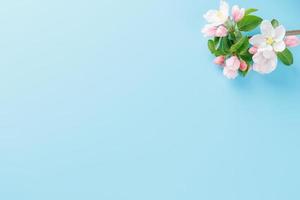 Blooming spring sakura on a blue background with space for a greeting message. The concept of spring and mother's day. Beautiful delicate pink cherry flowers in springtime photo