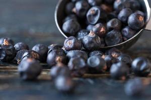 Juniper Berries Spilled from a Teaspoon photo