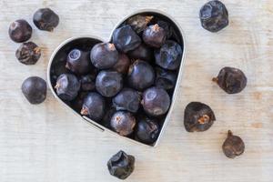 Juniper Berries in a Heart Shape photo