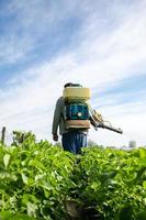 Farmer with a mist sprayer walks through farm field. Protection of cultivated plants from insects and fungal infections. Use of chemicals for crop protection in agriculture. Farming growing vegetables photo