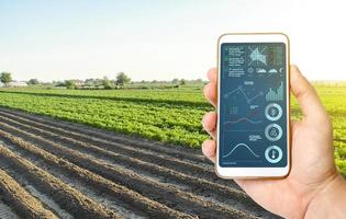 Hand with a phone on the background of a farm field. Quality control. Innovative modern technologies in agriculture. Collect data, forecasts to improve harvest quality. Internet of Things. Monitoring photo