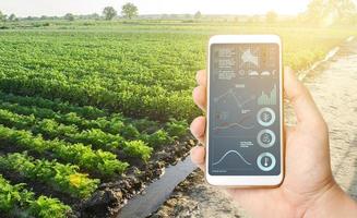 teléfono con datos e infografías sobre el fondo de una plantación de campo agrícola. tecnologías innovadoras en la agroindustria y producción de alimentos. proceso de maduración del cultivo, humedad y nutrición del suelo. foto