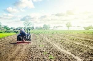 granjero en un tractor afloja el suelo con una fresadora. primera etapa de preparación del suelo para la siembra. superficie de aflojamiento, cultivo de la tierra. utilizar maquinaria agrícola. ganadería, agricultura. campo de arado. foto