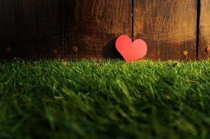 Paper Heart shape on green grass photo