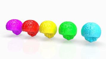 The brain multi color  on white  background  for creative concept 3d rendering photo
